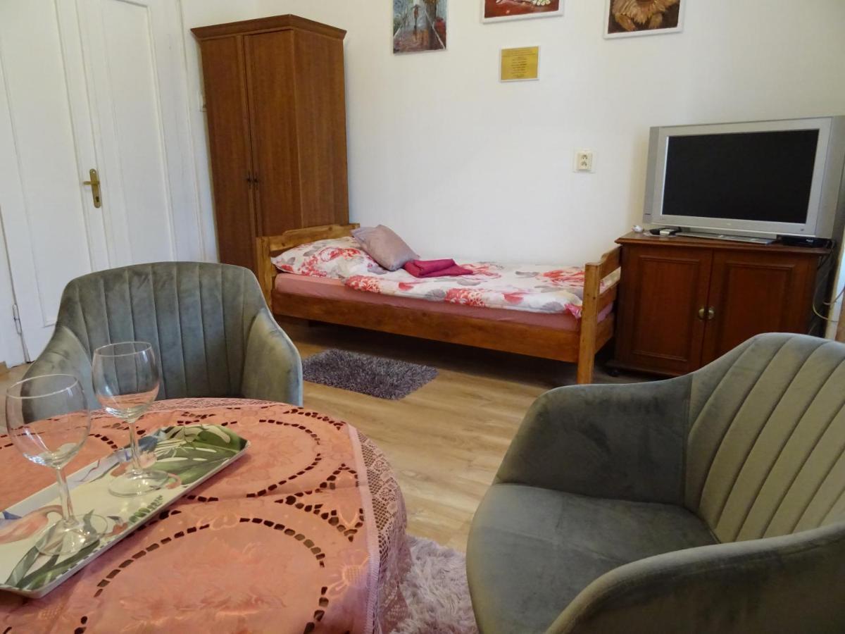 Guesthouse Ilona Velky Kamenec Exterior photo