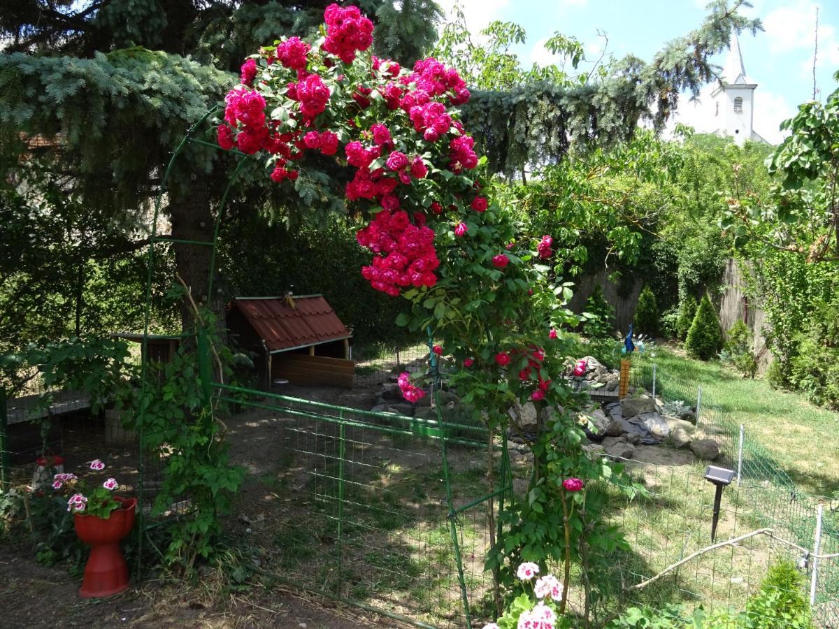 Guesthouse Ilona Velky Kamenec Exterior photo